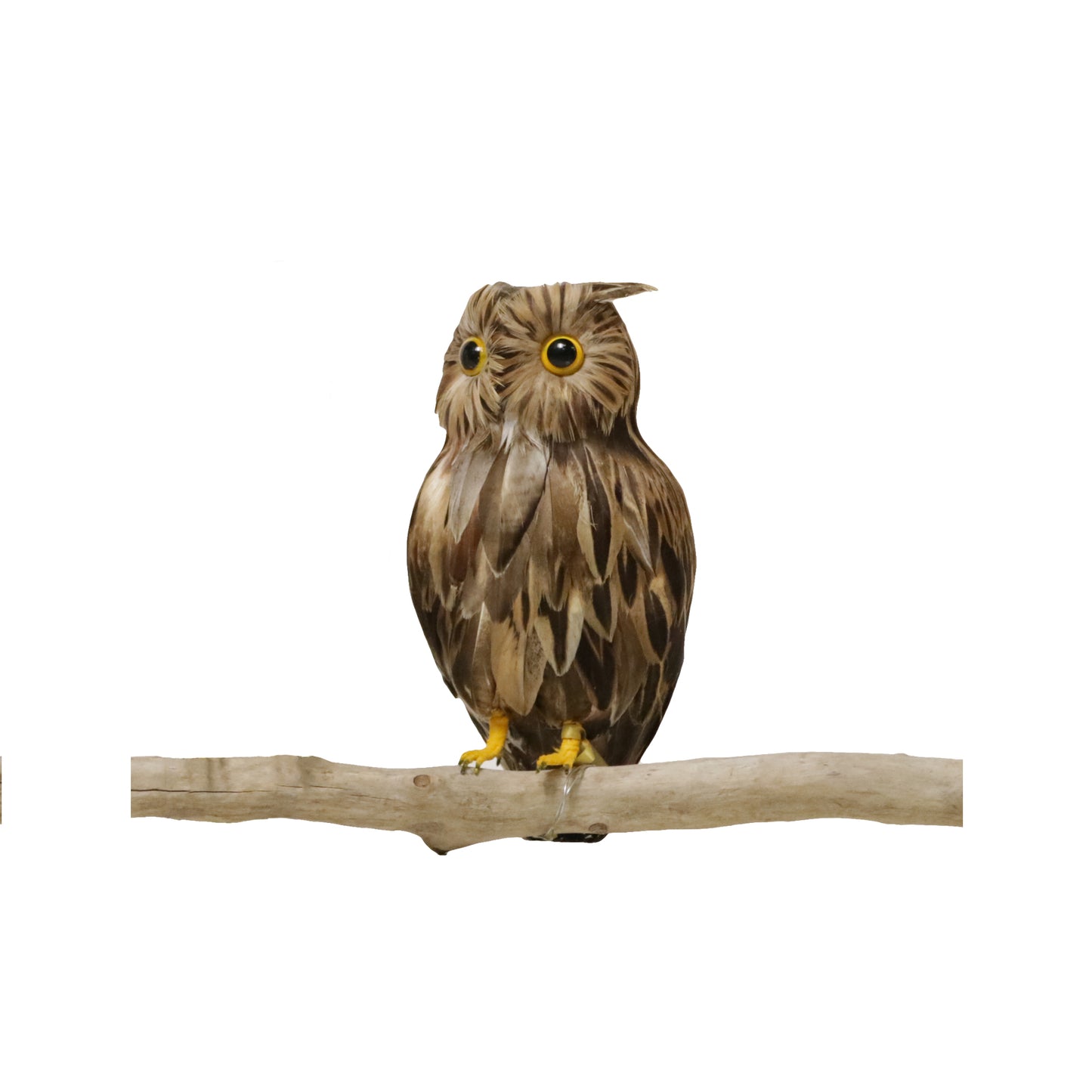 Artificial Birds | Owl