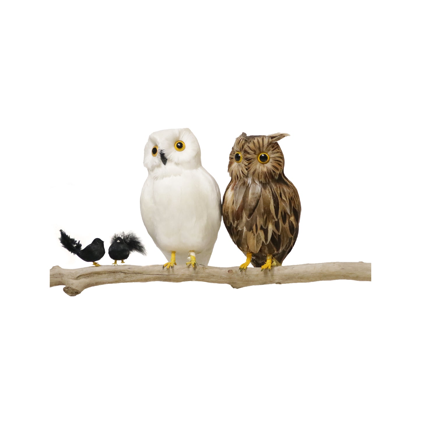 Artificial Birds | Owl